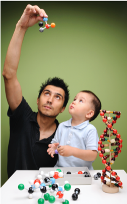 Father and son working on DNA model