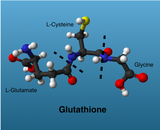 Glutathione