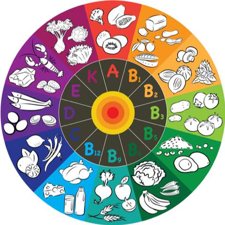 Vitamin wheel