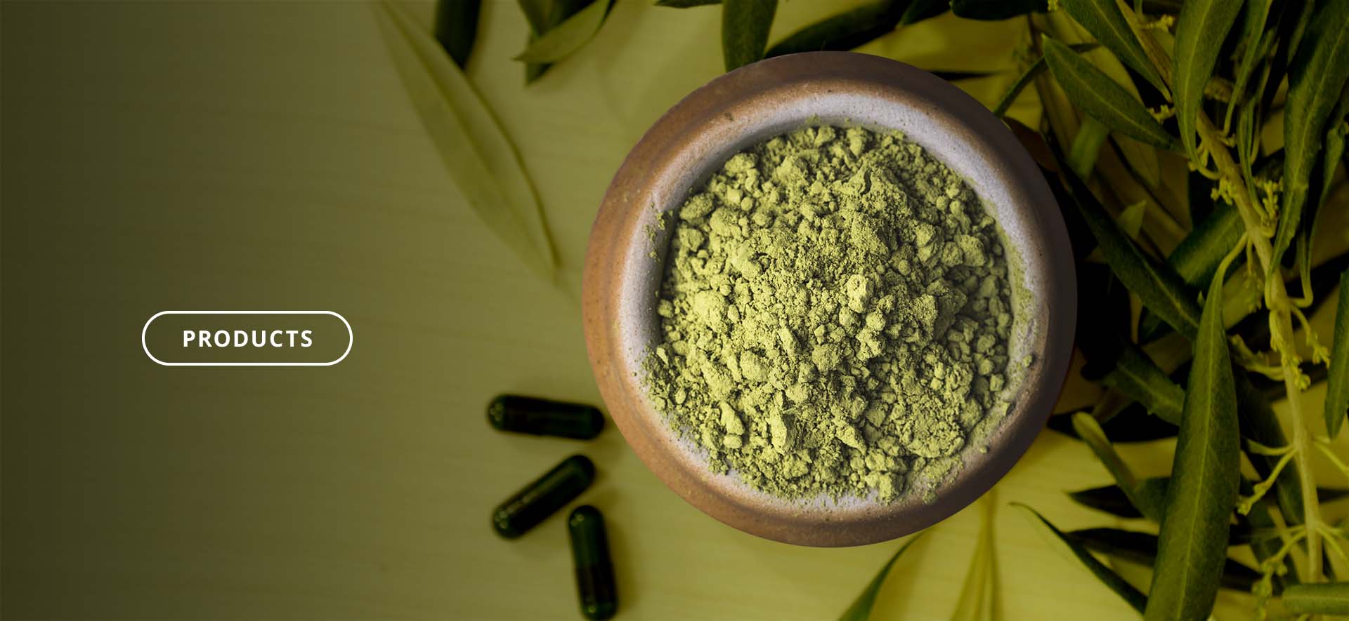 Olive extract product button